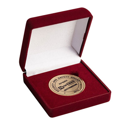 Медаль «Технологии Безопасности – 2015»